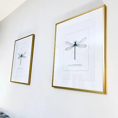 Apartment Kamienica Arte 2