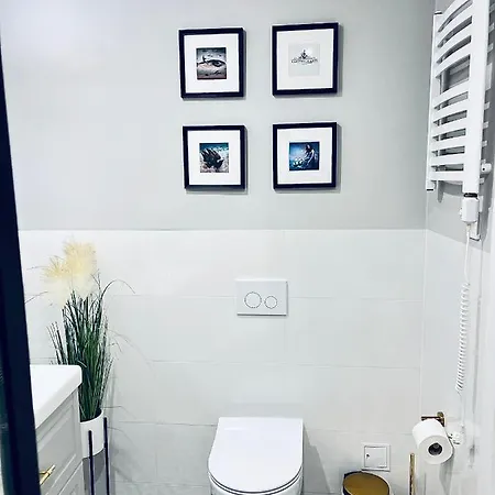 Apartment Kamienica Arte 2